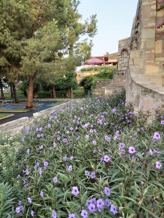 Gartenanlage Arum Barut Collection