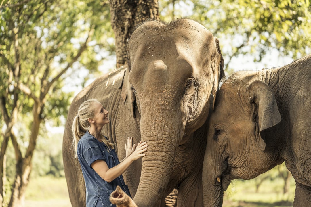 Sonstiges Anantara Golden Triangle Elephant Camp & Resort