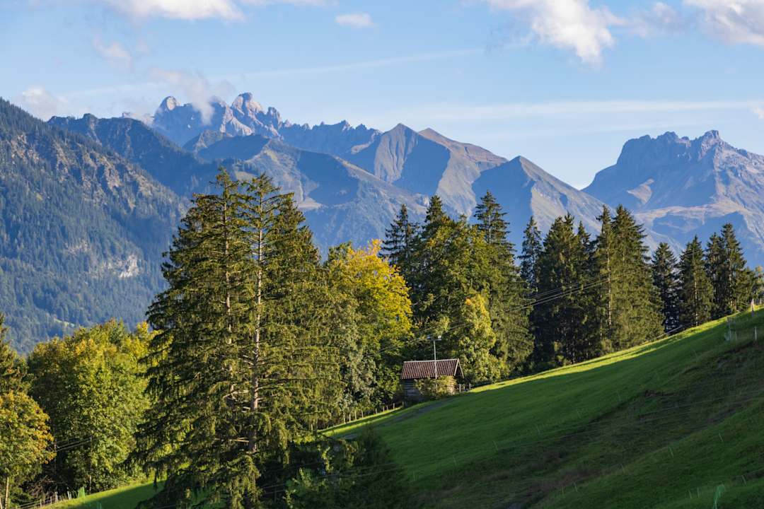 Ausblick Hotel Alpenblick