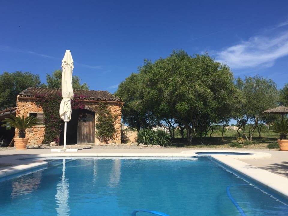 Pool Finca S Olivar d Es Coscois