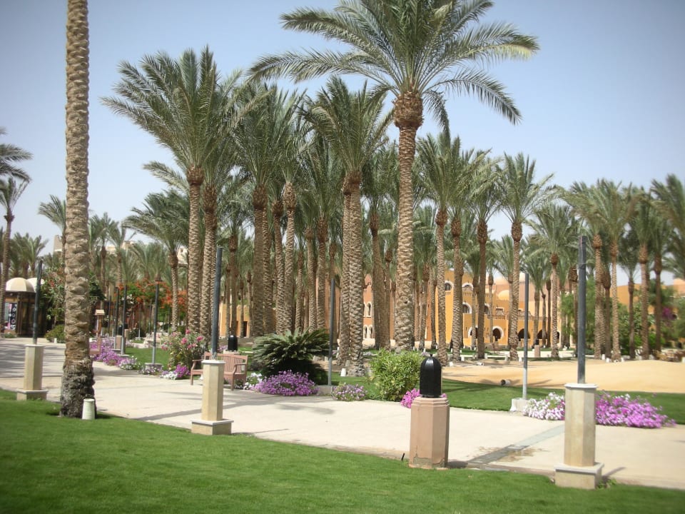 Schöne Gartenanlage Makadi Palace