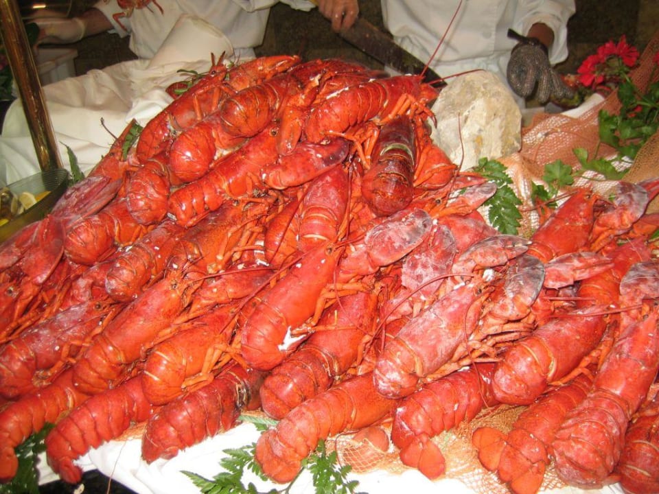 Mageres Buffet? Hipotels Barrosa Palace