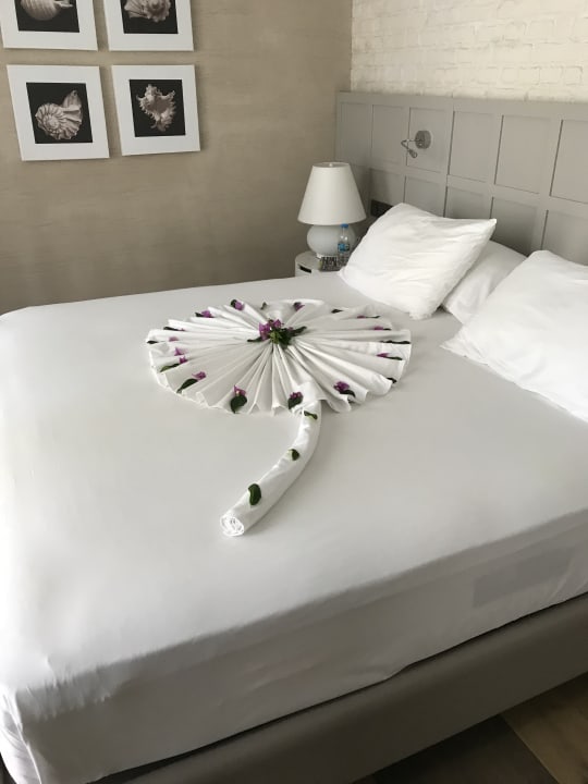 Zimmer Acanthus Cennet Barut Collection