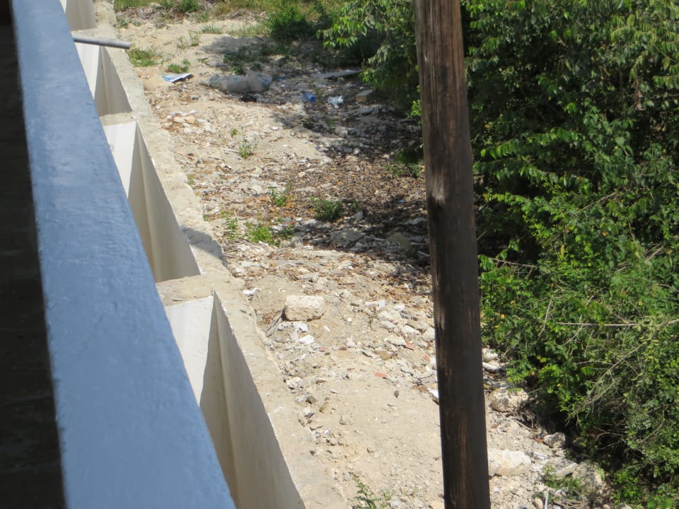 Wunderbarer Zimmerausblick Hotel Diani Palm Resort