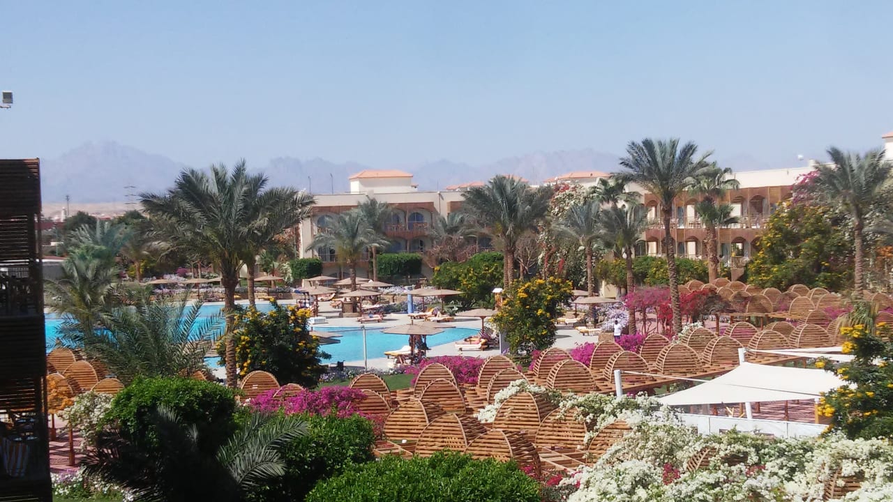 Gartenanlage Desert Rose