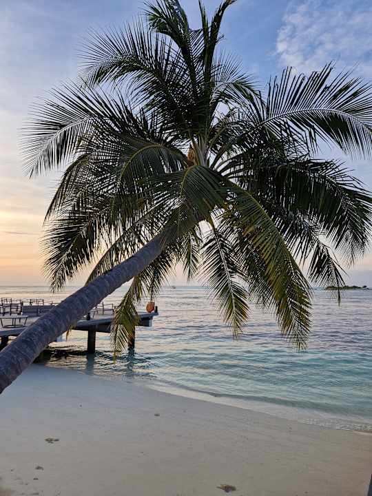 Strand Vilamendhoo Island Resort & Spa