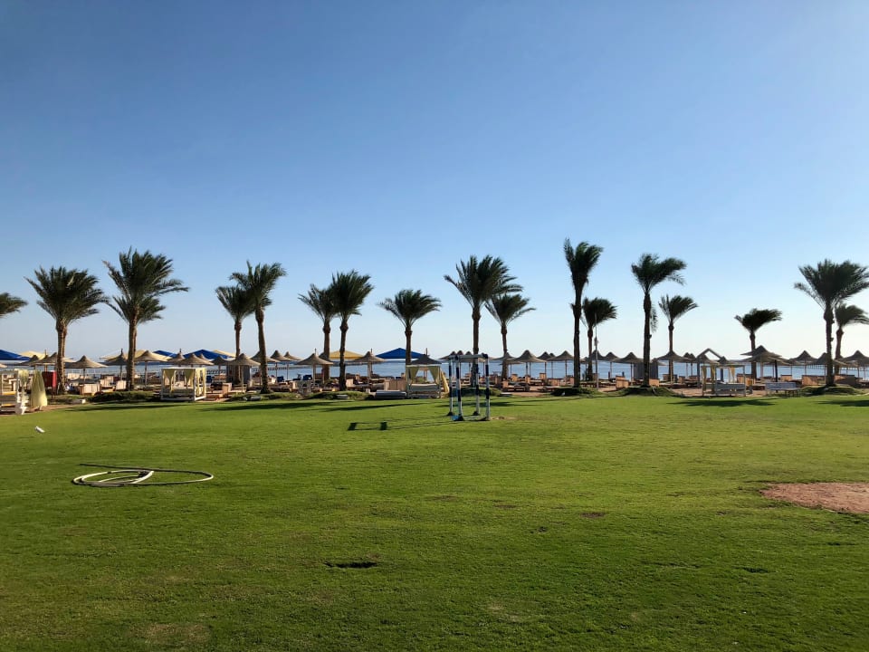 Strand Pickalbatros Royal Moderna Resort-Sharm El Sheikh