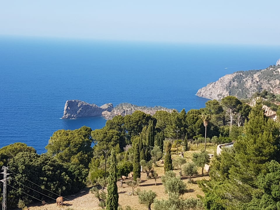 Ausblick Bordoy Continental Valldemossa