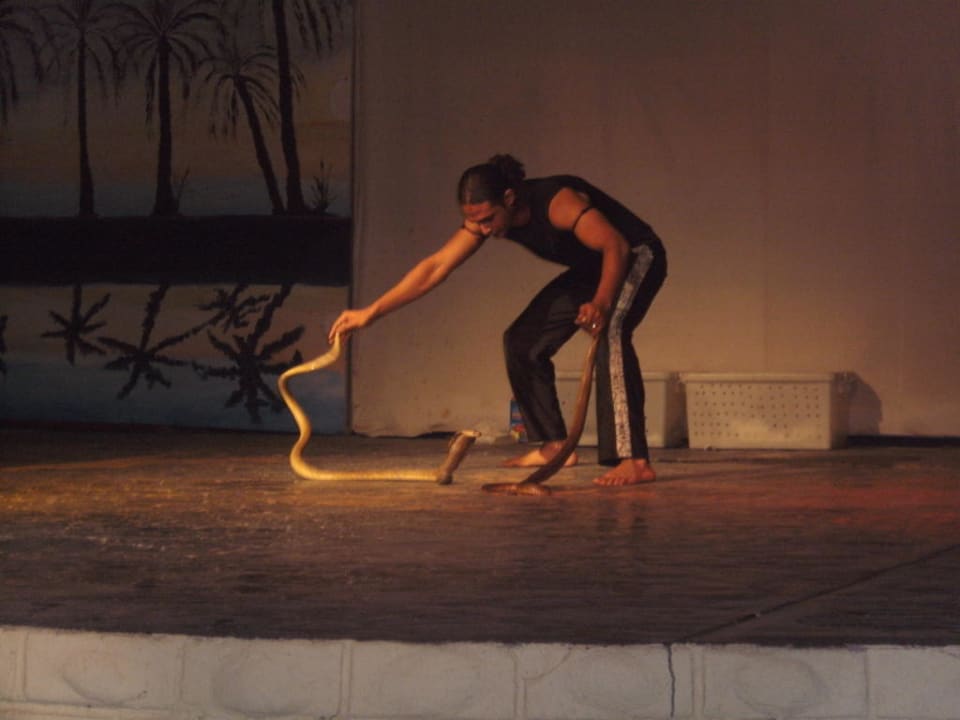 Cobra Show Pickalbatros Alf Leila Wa Leila Resort - Neverland Hurghada