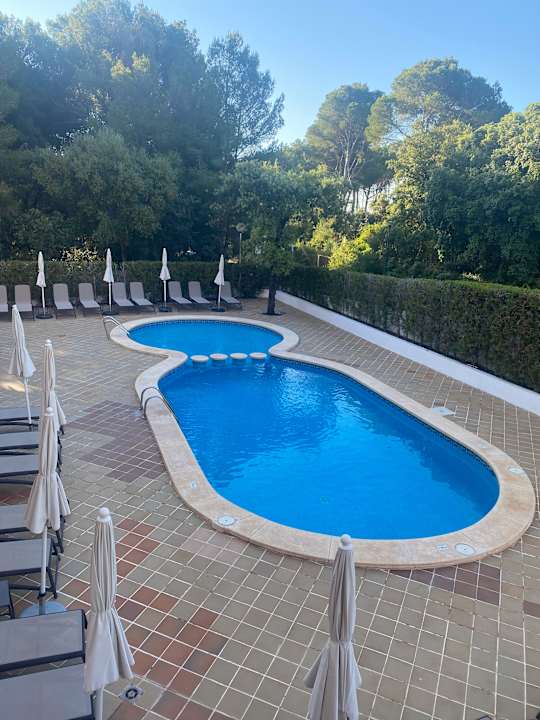 Pool Universal Hotel Laguna