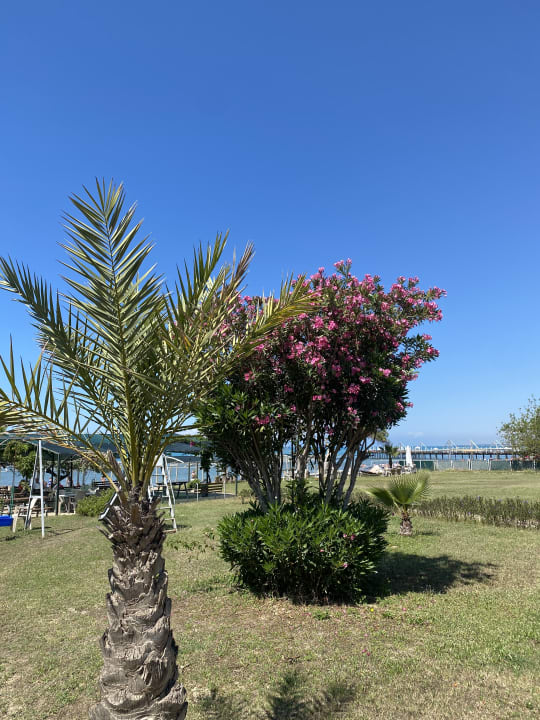 Sonstiges Side Mare Resort & Spa