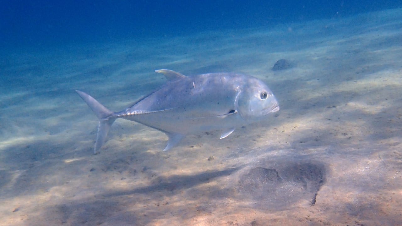 Sport & Freizeit Stella Beach Resort & Spa Makadi Bay