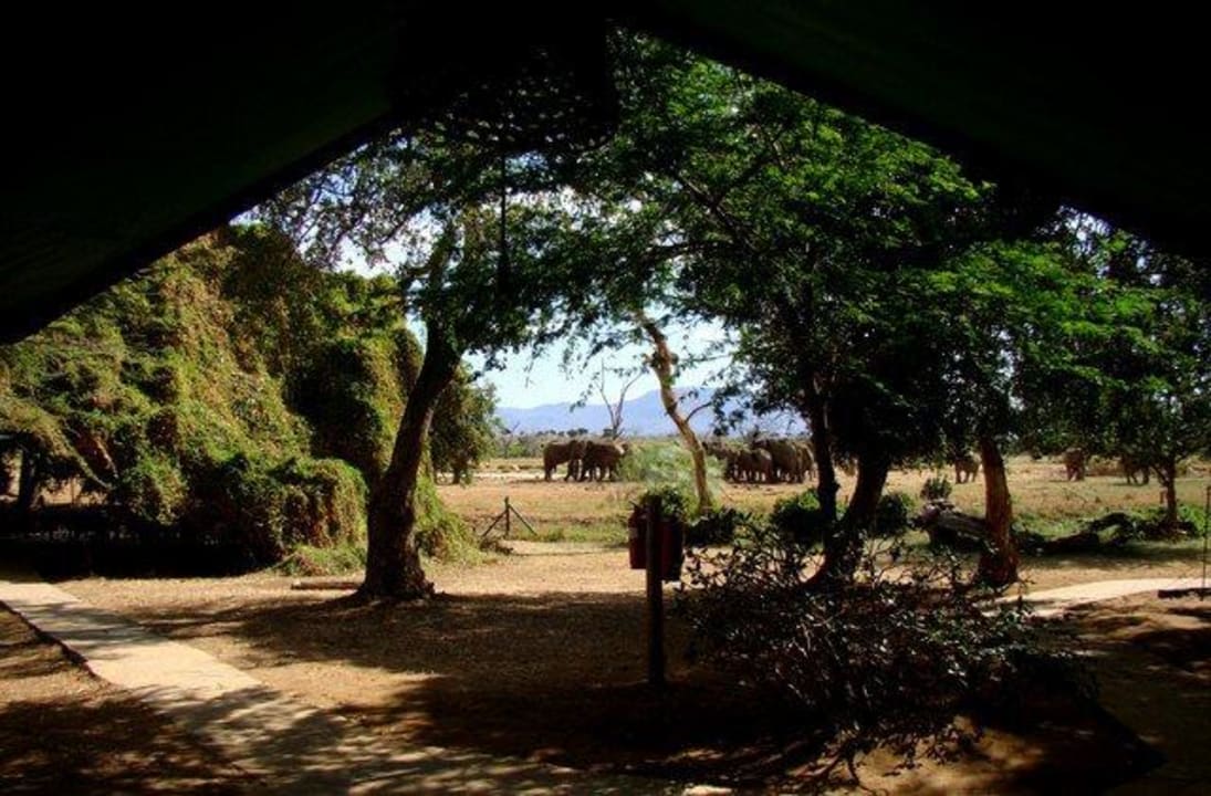 Widok z namiotu nr 3 Sentrim Tsavo Lodge
