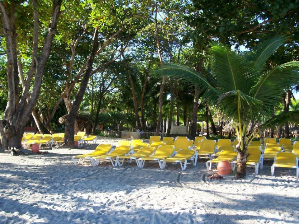 Der Strand Iberostar Waves Costa Dorada