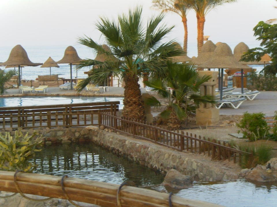 Palme Parrotel Beach Resort