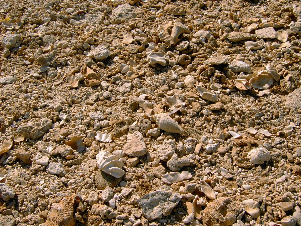 Strand SUNRISE Cardina Resort