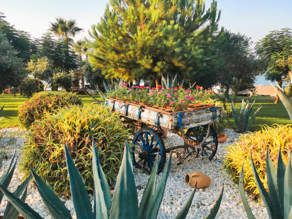 Gartenanlage Hotel Turan Prince