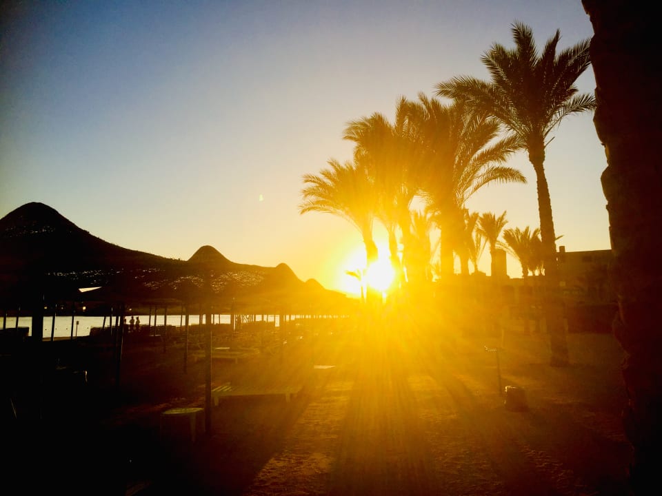 Strand Pickalbatros Palace Hotel-Port Ghalib