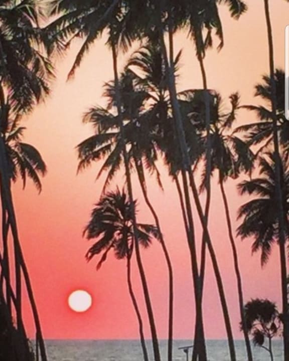 Ausblick Royal Palms Beach Hotel