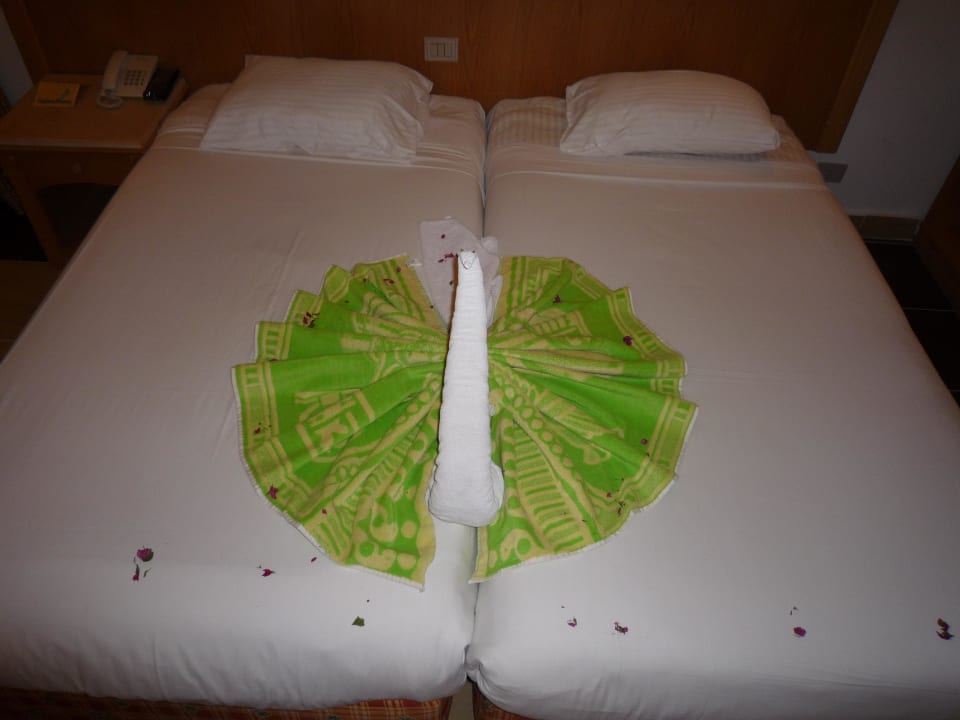 Bett frisch gemacht Beach Albatros Resort