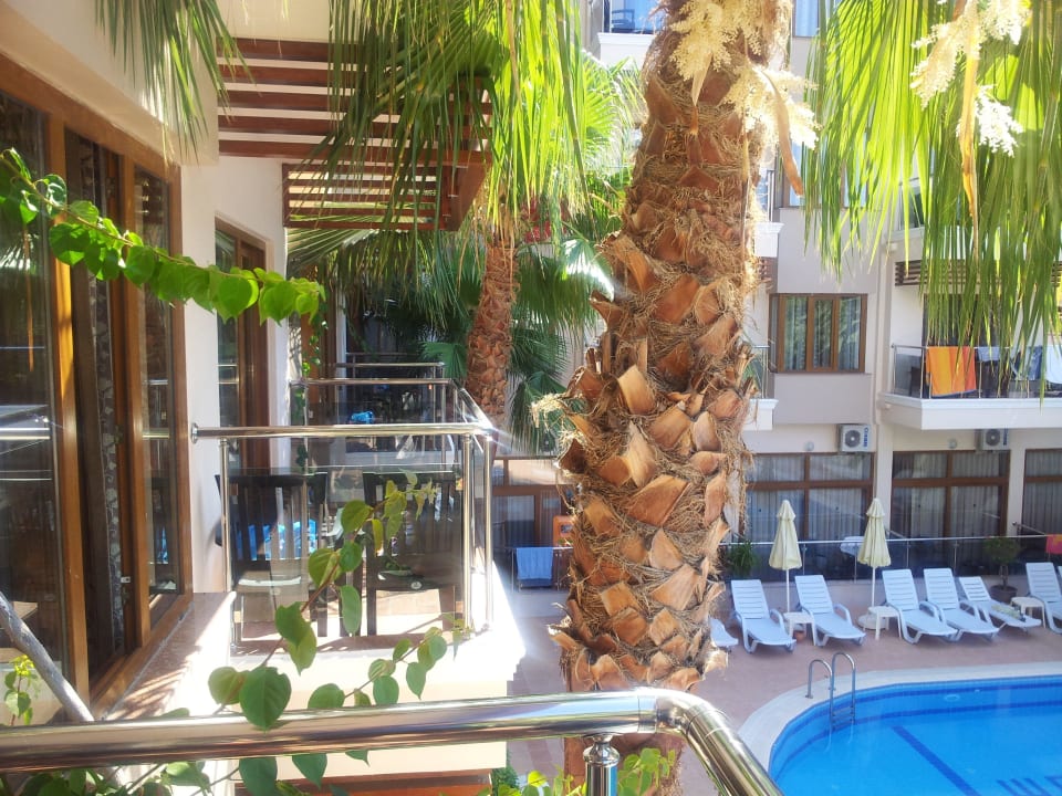 Ausblick vom Balkon Sun Beach Park & Spa