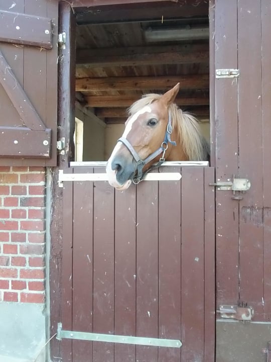 Leila Ferienhof Sporleder