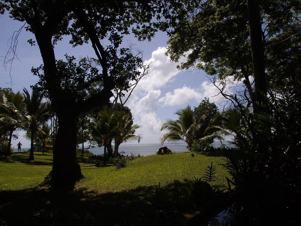 Gartenanlage Baobab Beach Resort & Spa