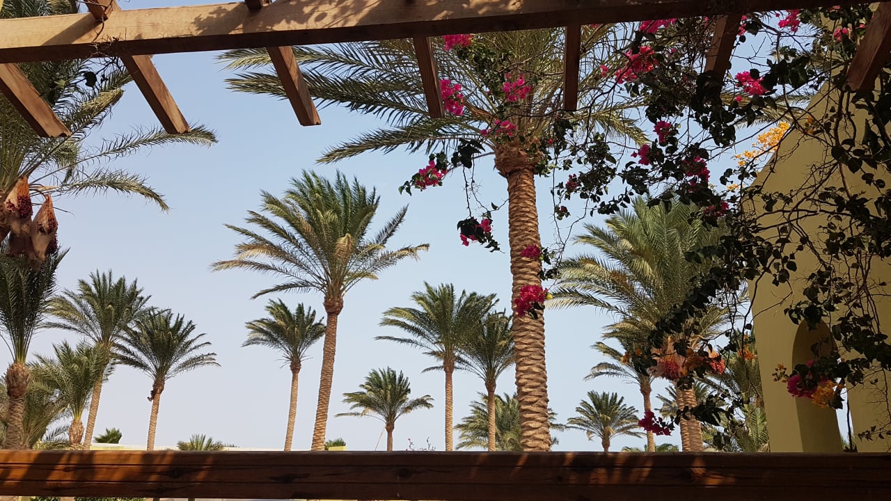 Ausblick Palm Beach Resort