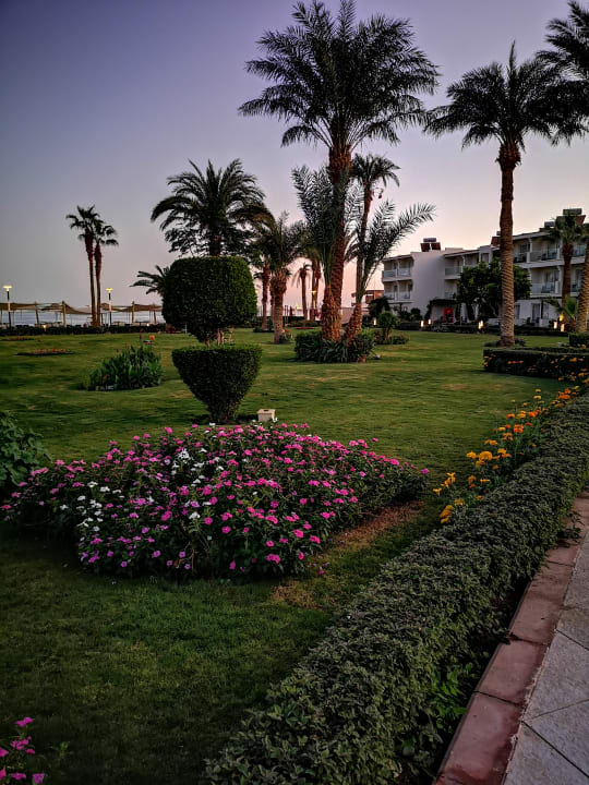 Gartenanlage Amarina Abu Soma Resort & Aquapark