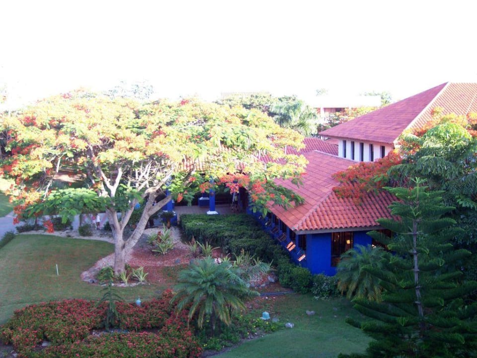 Buffetsaal Dominican Bay BelleVue Dominican Bay