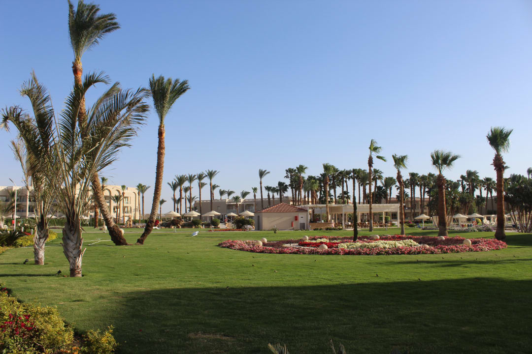 Gartenanlage Beach Albatros Resort