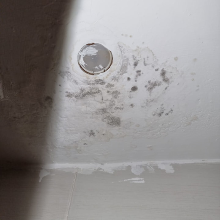 Zimmer Royal Star Beach Resort