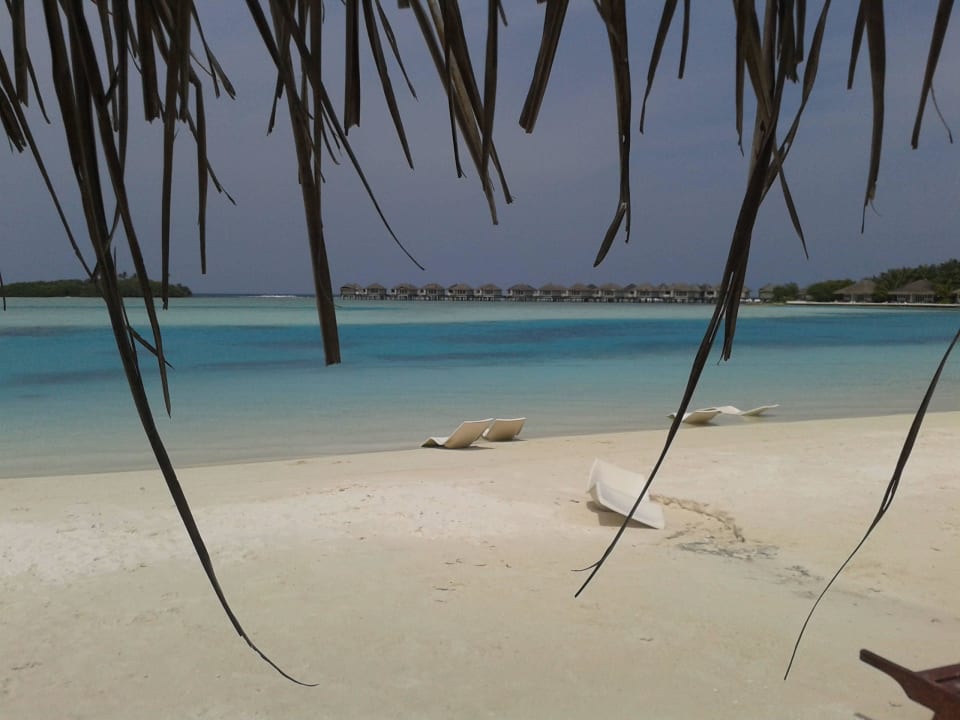 Unterm Sonnenschirm Cinnamon Dhonveli Maldives