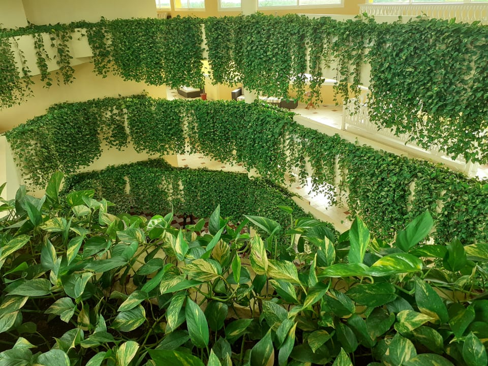 Lobby Melia Las Antillas - Adults only