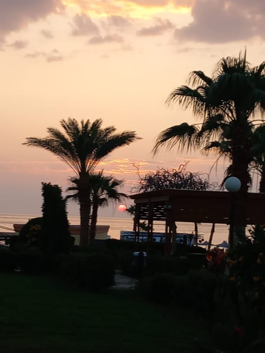 Gartenanlage Blue Reef Red Sea Resort