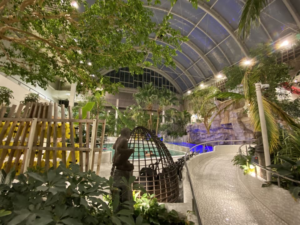 Pool Center Parcs Park Allgäu