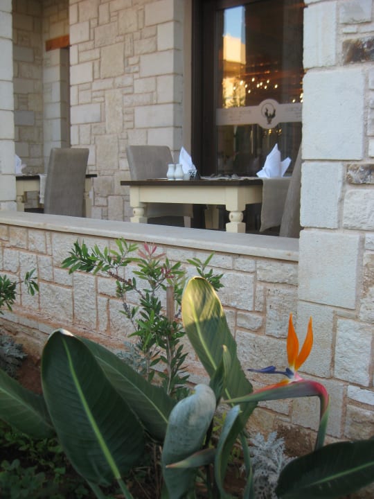 Sitzplatz auf der Terrasse Cactus Royal