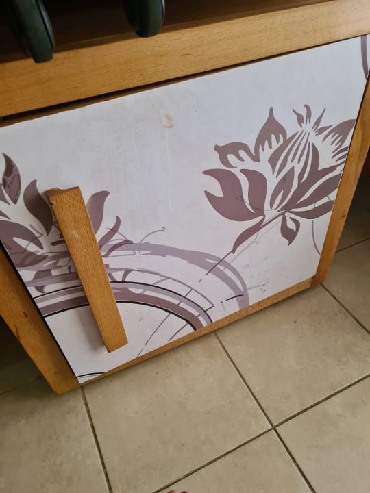 Zimmer Starfish Cuatro Palmas