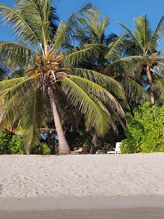 Strand Summer Island Maldives