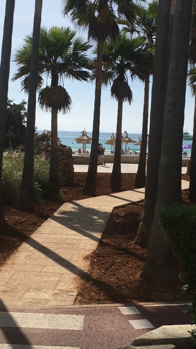 Strand Hipotels Mediterraneo Club