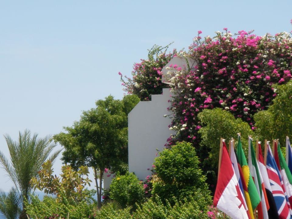 Hotel Sultan Gardens Resort