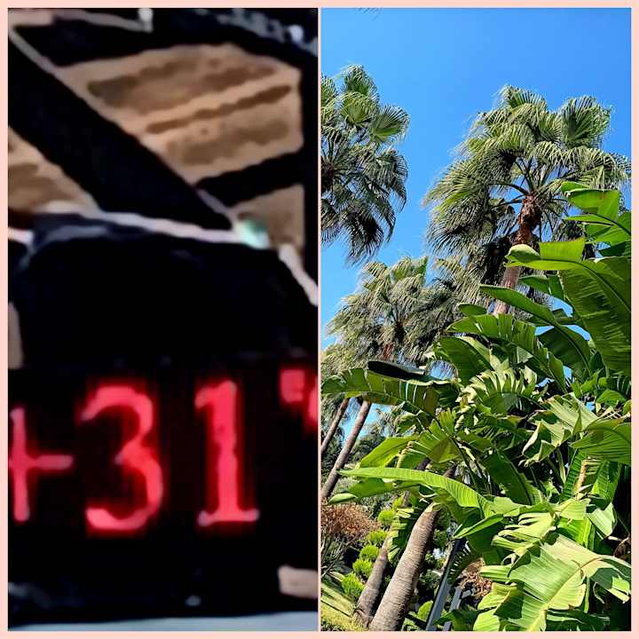 Außenansicht Aydinbey Kings Palace & Spa