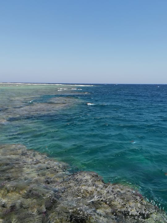 Strand Mövenpick Resort El Quseir