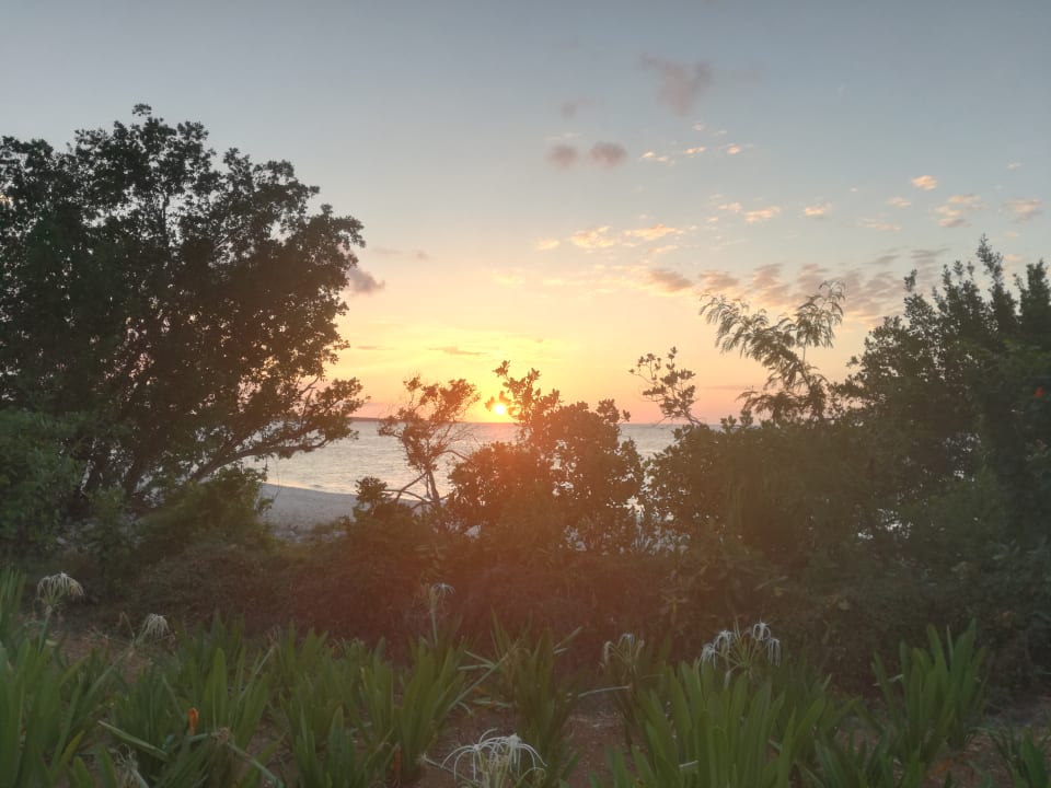 Zimmer Angsana Cayo Santa Maria