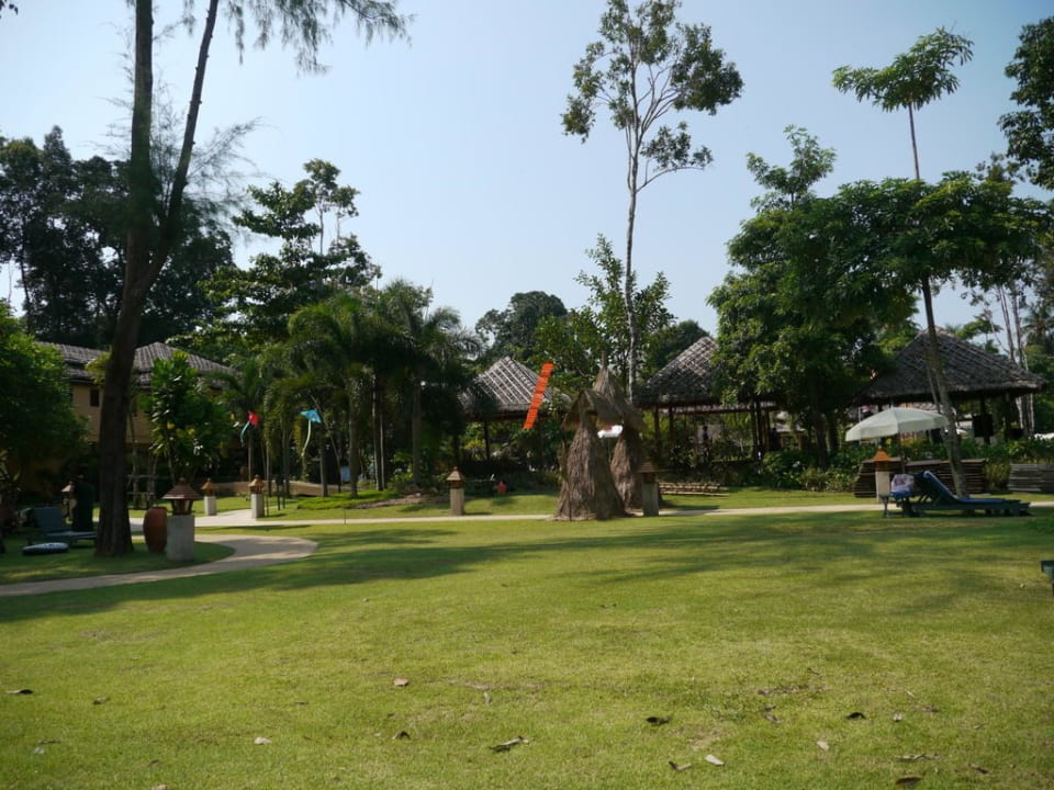 Hier waren die Liegen  Khao Lak Merlin Resort