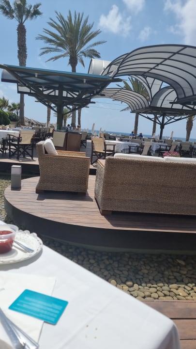 Gartenanlage TUI BLUE Pioneer Beach