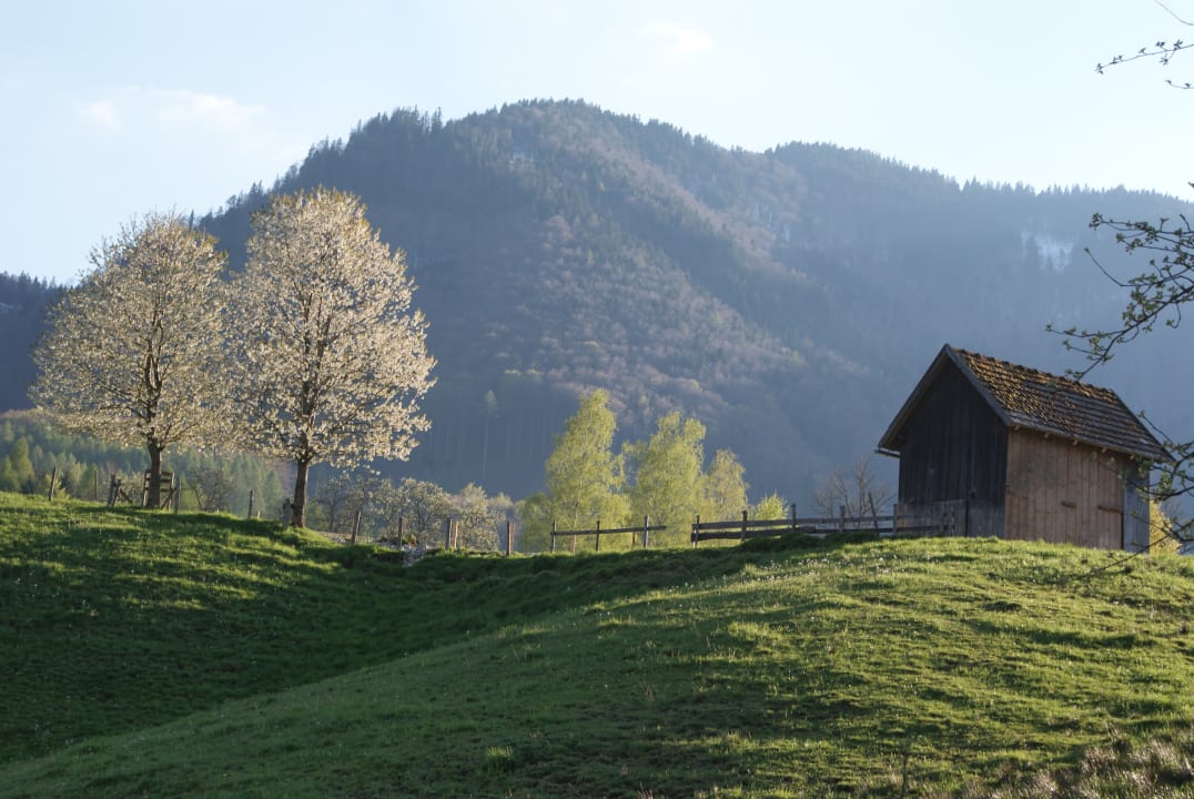 Ausblick Ferienhaus Schwarzenbach
