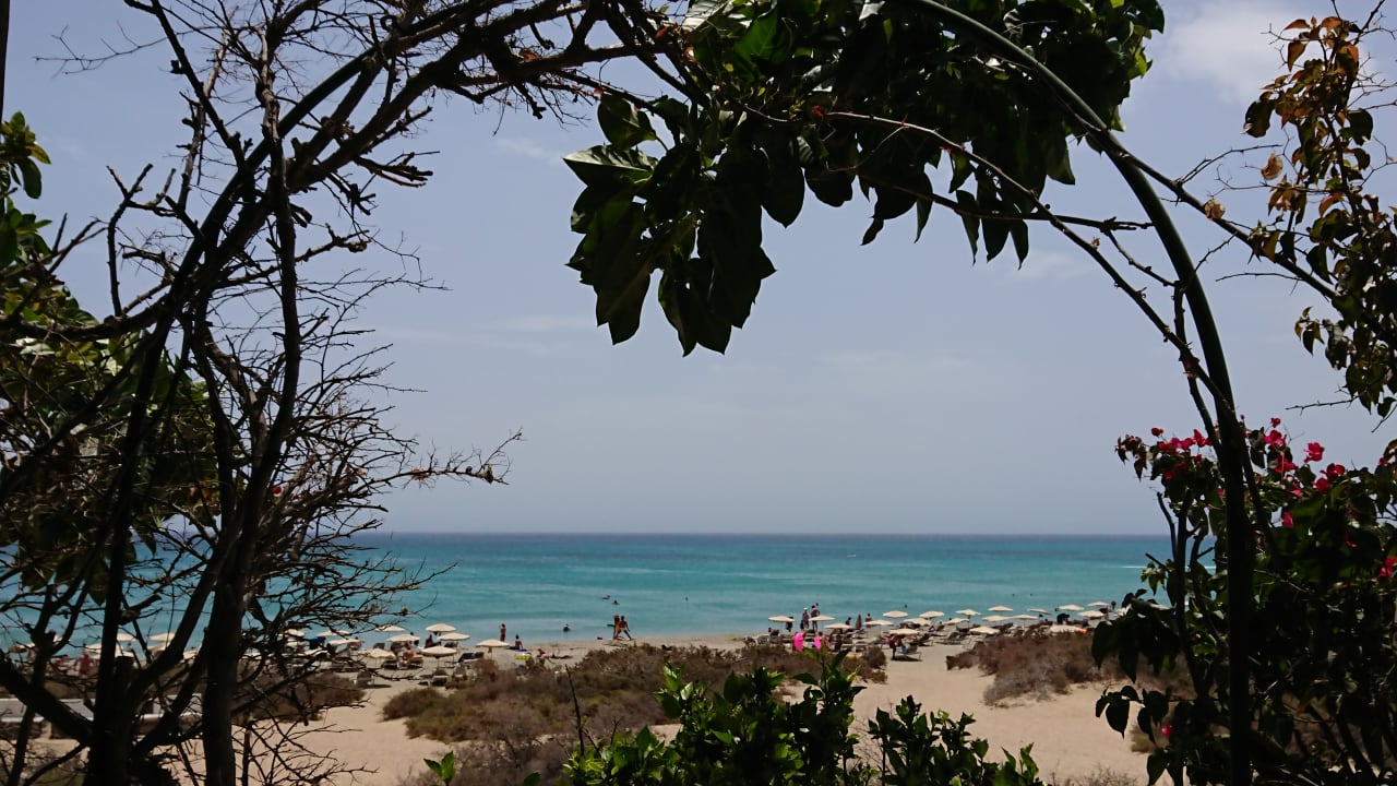 Ausblick SBH Hotel Taro Beach