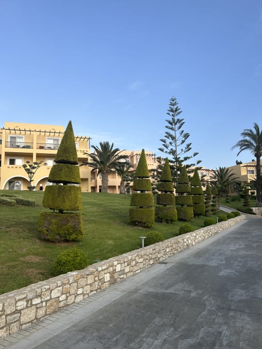 Gartenanlage Hotel Horizon Beach Resort