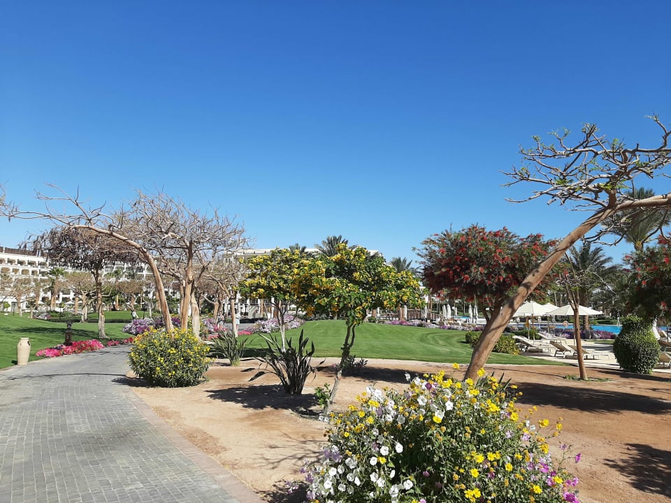 Gartenanlage Steigenberger ALDAU Beach Hotel